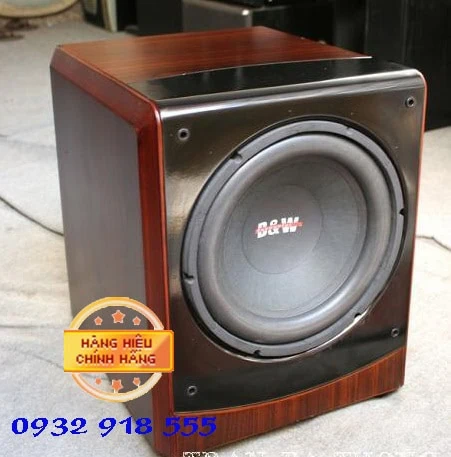 Loa Sub karaoke BW-604