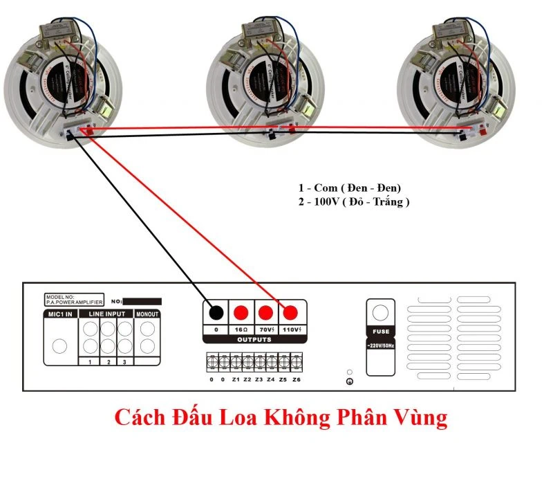 Cách đấu nối loa âm trần với amply chuyên dụng