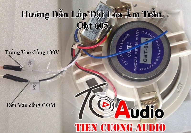 lap dat loa am tran 605