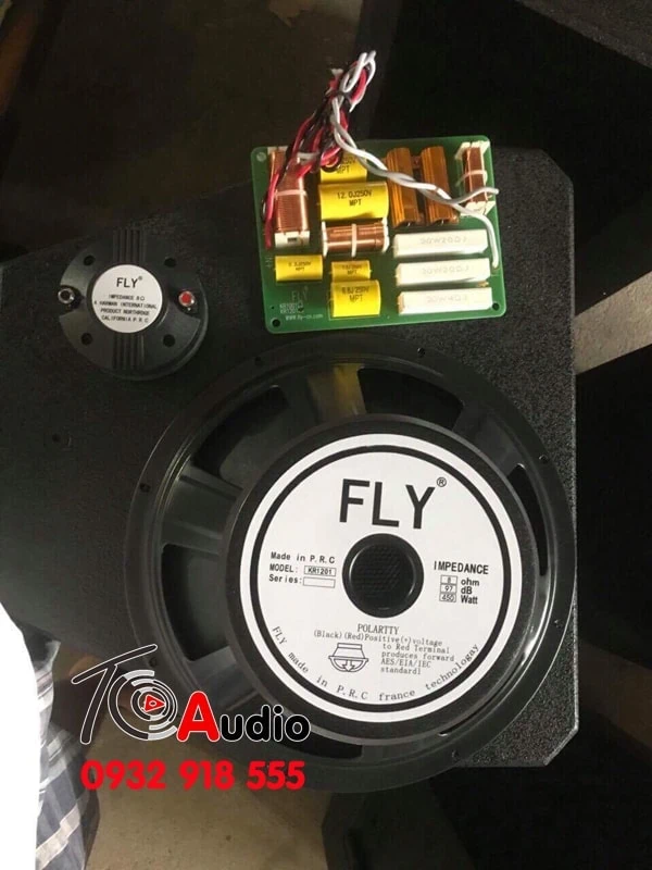 Loa karaoke Fly KR 1201 đẹp