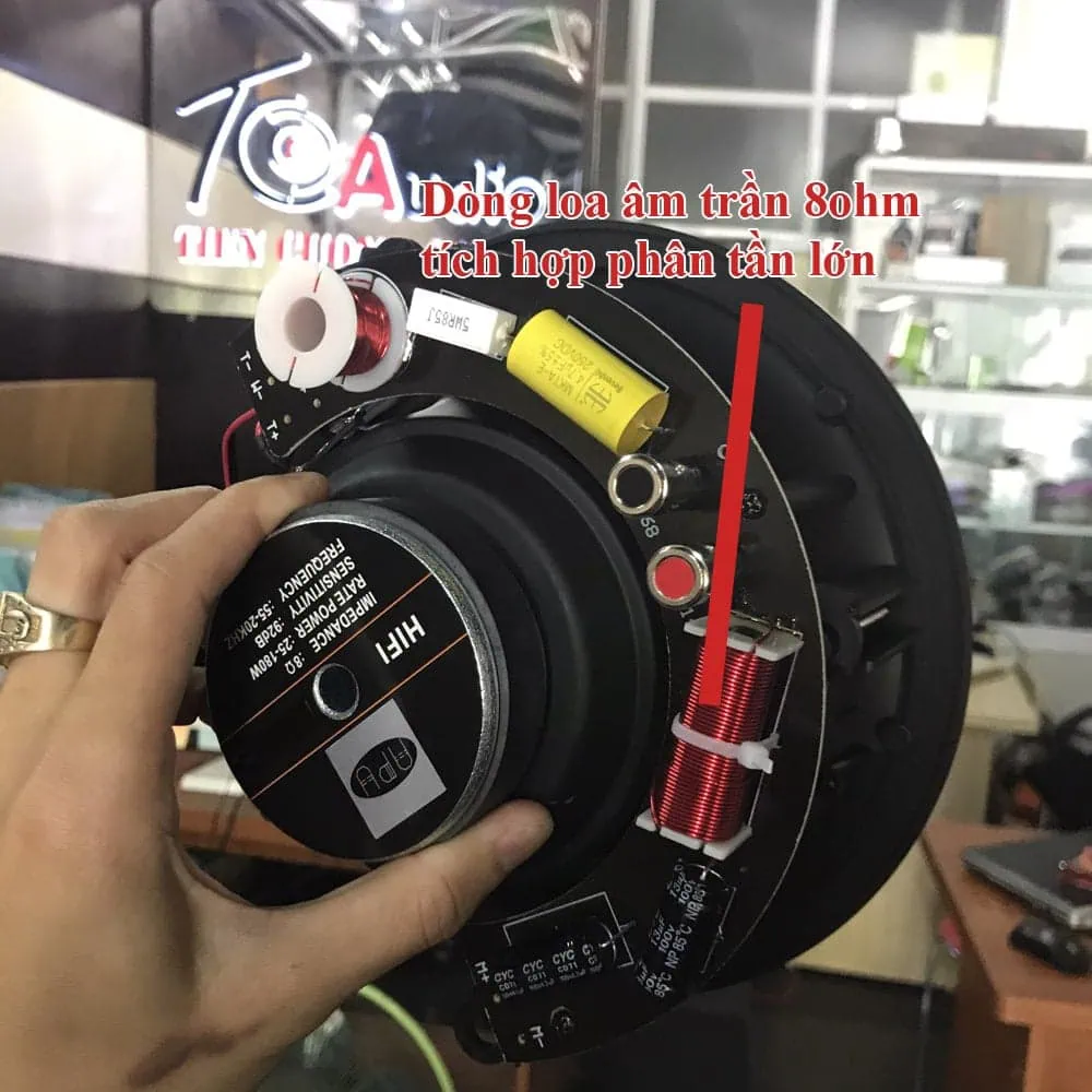 cau tao loa apu 8ohm cs20l