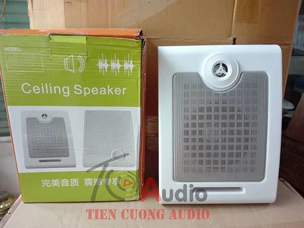                                           Loa hộp treo tường phòng học APU 10W